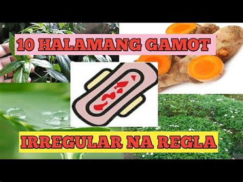 Halamang Gamot para Magkaroon ng Dalaw (Regla).